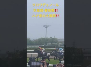 【競馬現地映像】クロワデュノール天皇賞・春制覇‼️ハナ差の大激闘を制す‼️2026.5.3