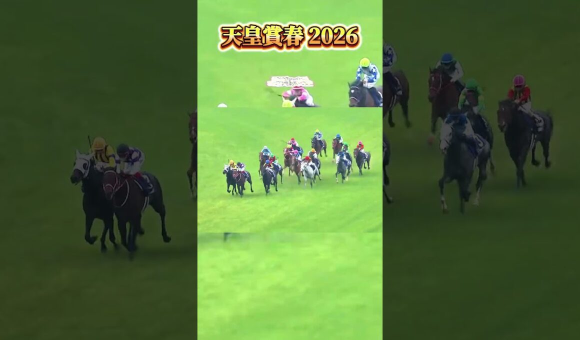 【天皇賞春2026】同じ父を持つ2頭がゴール前で激突 推定2センチの写真判定 クロワデュノール父子制覇