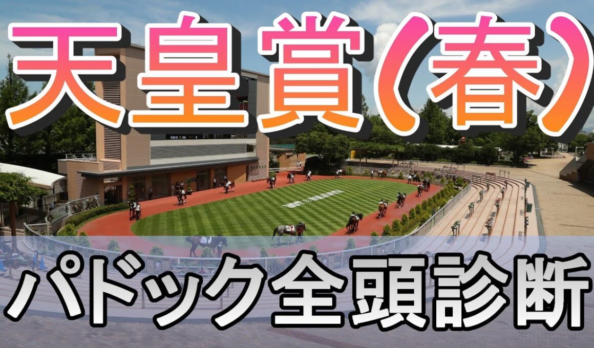 【JRAライブ】競馬記者が全レースのパドックを解説【天皇賞春 2026】
