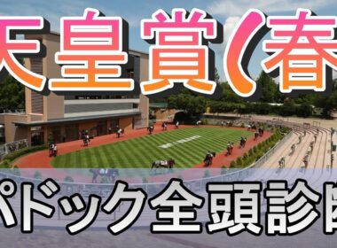 【JRAライブ】競馬記者が全レースのパドックを解説【天皇賞春 2026】