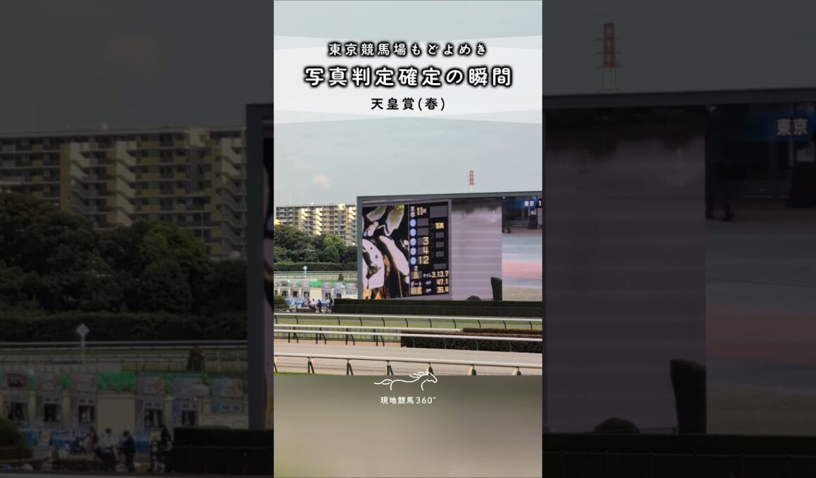 東京もどよめいた｜天皇賞(春) 写真判定確定の瞬間 #競馬 #現地映像 #天皇賞春 #クロワデュノール #ヴェルテンベルク #東京競馬場