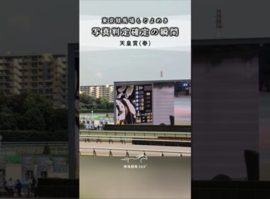 東京もどよめいた｜天皇賞(春) 写真判定確定の瞬間 #競馬 #現地映像 #天皇賞春 #クロワデュノール #ヴェルテンベルク #東京競馬場