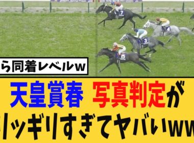 【天皇賞春】写真判定の結果がギリッギリすぎてヤバいｗｗｗ、忖度だと怒る競馬民も現れカオスにｗｗ