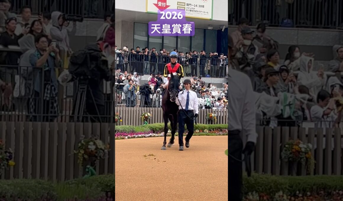 #競馬 #天皇賞春 #パドック #北村友一 #クロワデュノール #京都競馬場 #ヴェルテンベルク #アドマイヤテラ
