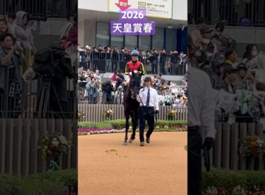 #競馬 #天皇賞春 #パドック #北村友一 #クロワデュノール #京都競馬場 #ヴェルテンベルク #アドマイヤテラ
