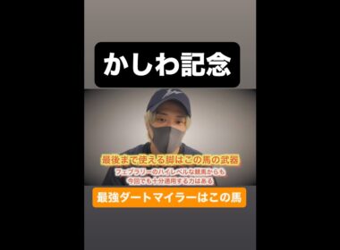 かしわ記念2026#かしわ記念#かしわ記念2026#名古屋グランプリ#ヴィクトリアマイル#nhkマイルカップ#ミッキーファイト#ウィルソンテソローロ