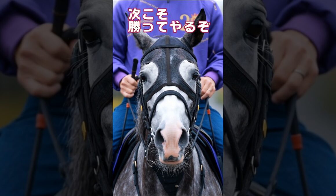 『約束の2センチメートル〜天皇賞春'26』