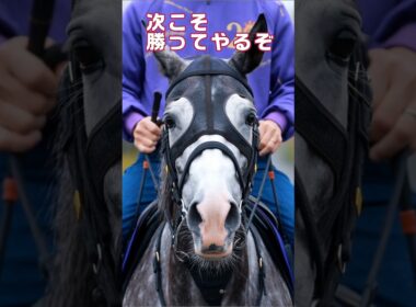 『約束の2センチメートル〜天皇賞春'26』
