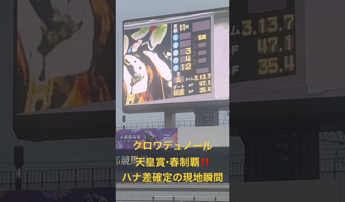 【競馬現地映像】クロワデュノール天皇賞・春制覇‼️ハナ差の大激闘確定の京都競馬場の瞬間、どよめき‼️