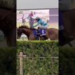 天皇賞(春)ヴェルミセル馬場入場#天皇賞春#京都競馬場#ヴェルミセル#rukiチャンネル#shorts