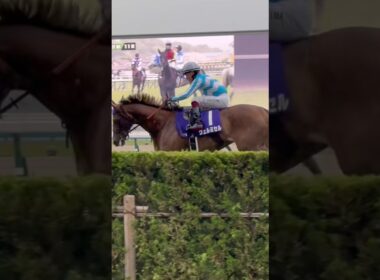 天皇賞(春)ヴェルミセル馬場入場#天皇賞春#京都競馬場#ヴェルミセル#rukiチャンネル#shorts