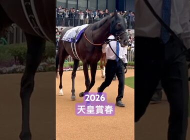 【騎手なし】#競馬 #天皇賞春 #パドック  #クロワデュノール #京都競馬場 #ヴェルテンベルク #アドマイヤテラ
