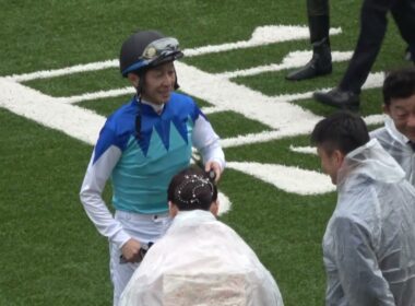 【天皇賞(春)2026】全頭パドック＋クロワデュノールとアドマイヤテラ多め 現地映像 クロワデュノール