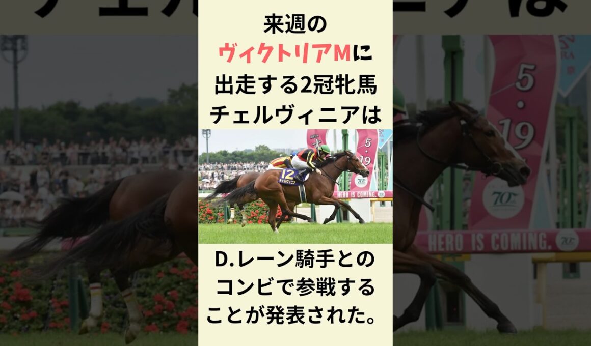 チェルヴィニアがんばれ！　#競馬　#競馬予想　#ヴィクトリアマイル　#shorts
