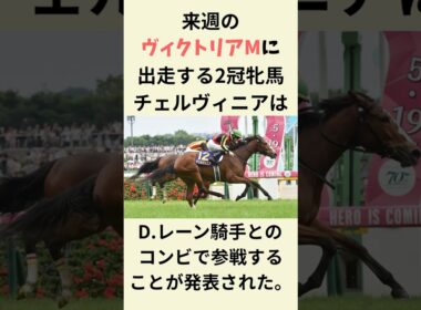 チェルヴィニアがんばれ！　#競馬　#競馬予想　#ヴィクトリアマイル　#shorts