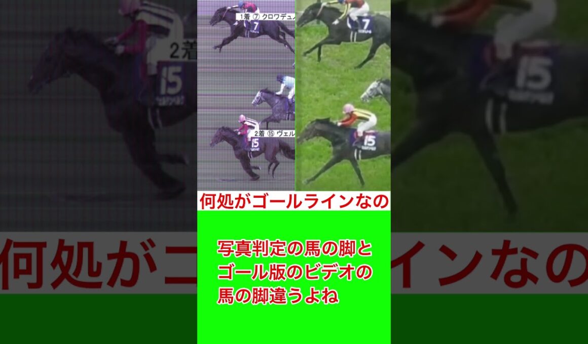 天皇賞春ゴール前写真判定の疑惑