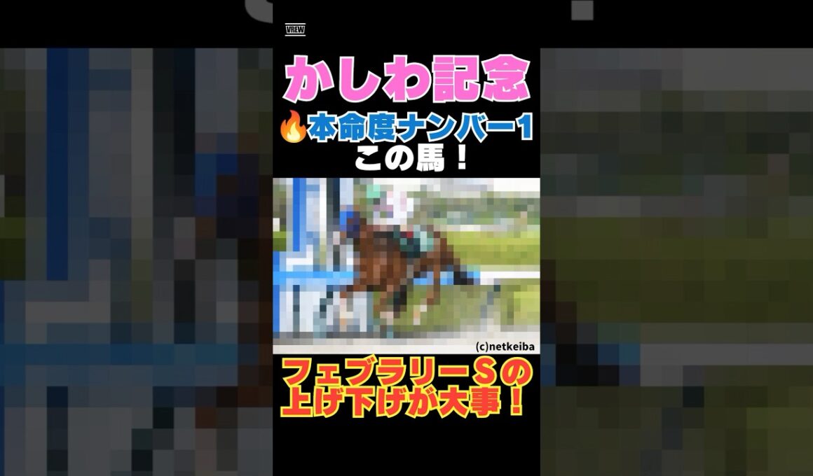 【かしわ記念2026】本命度ナンバー1はこの馬🔥フェブラリーＳの上げ下げが大事！