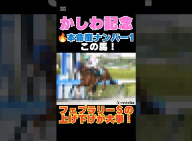 【かしわ記念2026】本命度ナンバー1はこの馬🔥フェブラリーＳの上げ下げが大事！