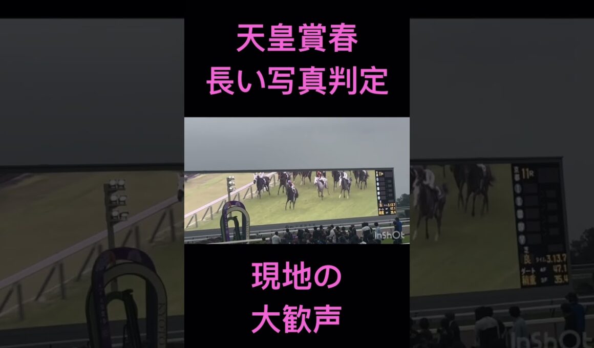 ドキドキ…の後の大歓声 天皇賞春2026 現地の様子 #クロワデュノール #京都競馬場 #天皇賞 #shorts #競馬