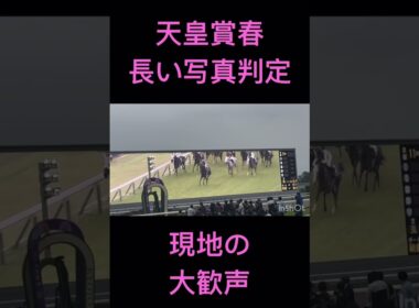 ドキドキ…の後の大歓声 天皇賞春2026 現地の様子 #クロワデュノール #京都競馬場 #天皇賞 #shorts #競馬