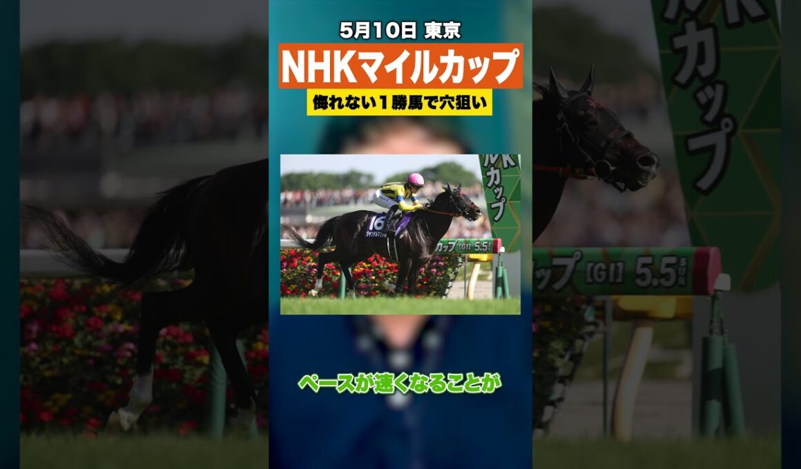 【競馬】NHKマイルカップ2026のオススメは妙味ありそうな1勝馬