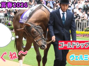 【天皇賞春2026】強敵ぞろいの中どう走ろうか首をかしげて思案するゴルシ産駒の優等生ヴェルミセル【ゴールドシップ産駒】