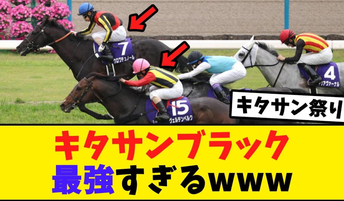 天皇賞春、まさかのキタサン産駒でワンツーwww【競馬反応集】