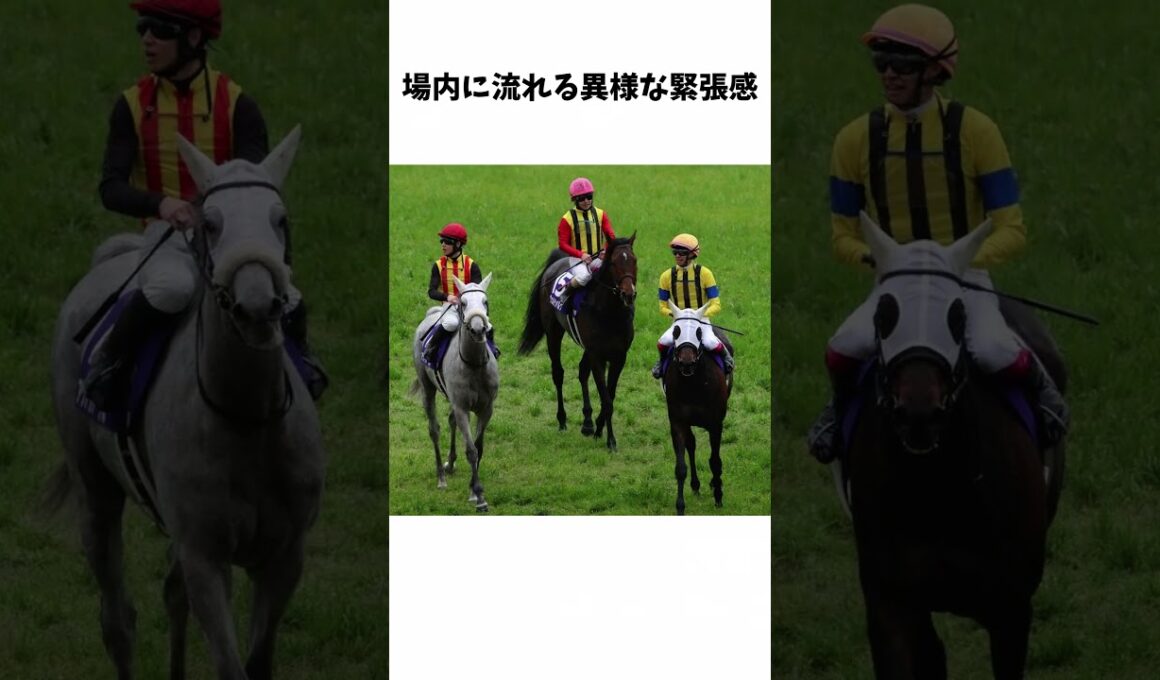 わずか2cmで決着…!? 天皇賞・春で起きた“心臓止まる写真判定” #競馬 #horse