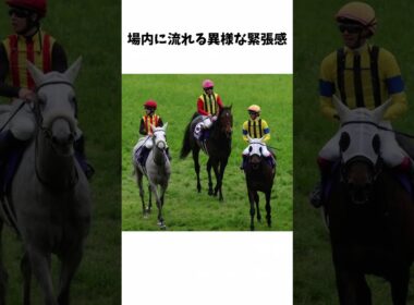 わずか2cmで決着…!? 天皇賞・春で起きた“心臓止まる写真判定” #競馬 #horse