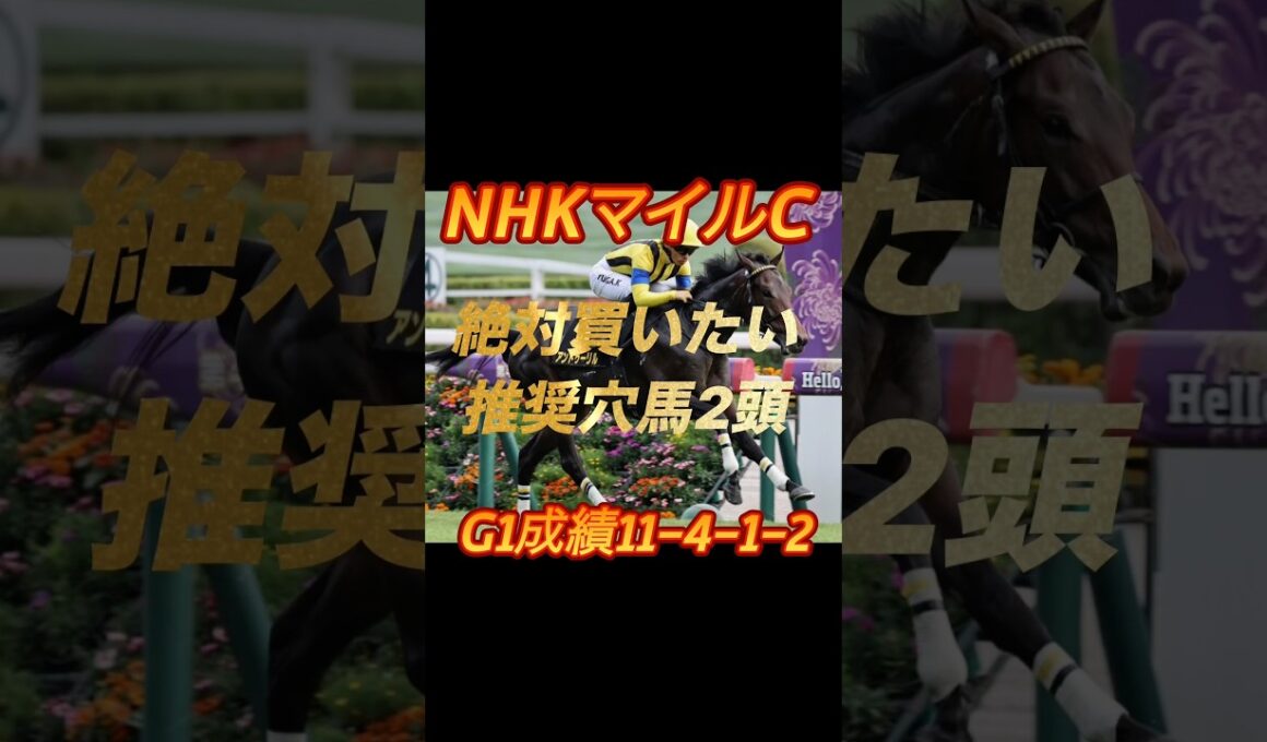 NHKマイルカップ2026 絶対買いたい推奨穴馬2頭紹介