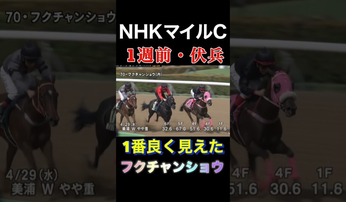 NHKマイルカップ　伏兵はこの馬　#shorts