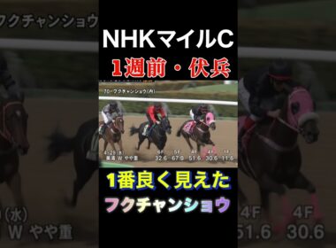 NHKマイルカップ　伏兵はこの馬　#shorts