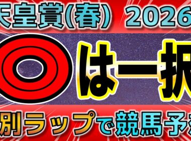 【天皇賞（春）2026】クロワデュノールVSアドマイヤテラ！クロワに不安はあるのか？