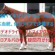 NHKマイルカップでくる２つのタイプ　同じ血統、似たタイプで決着する　ロデオドライブ、エコロアルバ、アドマイヤクワッズの中に疑問符が付く馬が