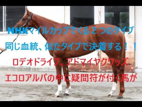 NHKマイルカップでくる２つのタイプ　同じ血統、似たタイプで決着する　ロデオドライブ、エコロアルバ、アドマイヤクワッズの中に疑問符が付く馬が