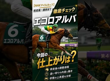 【NHKマイルカップ】エコロアルバ 今回の仕上がりは？前走後〜直前まで徹底チェック #エコロアルバ #NHKマイルC #shorts