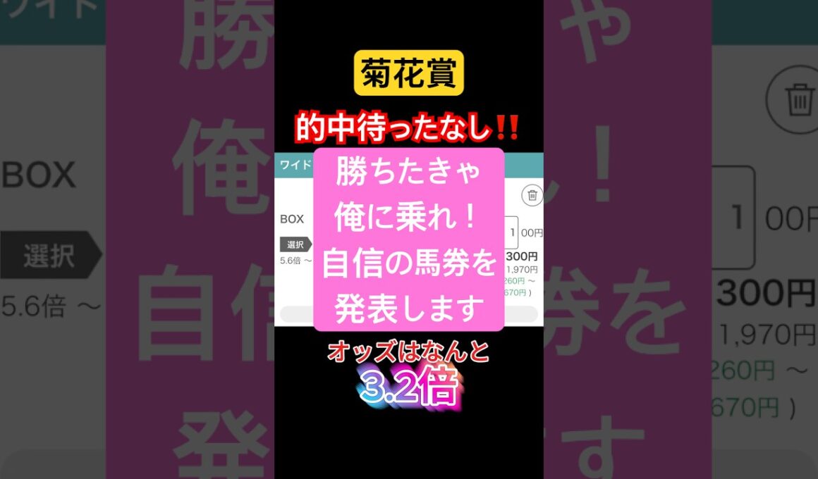 【菊花賞】的中待ったなし⁉️合成オッズはなんと3.2倍‼️勝ちたきゃオデに乗れ‼️ #競馬 #競馬予想 #中央競馬予想 #菊花賞 #競馬はワイド #ショウヘイ #エネルジコ #レッドバンデ