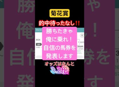 【菊花賞】的中待ったなし⁉️合成オッズはなんと3.2倍‼️勝ちたきゃオデに乗れ‼️ #競馬 #競馬予想 #中央競馬予想 #菊花賞 #競馬はワイド #ショウヘイ #エネルジコ #レッドバンデ