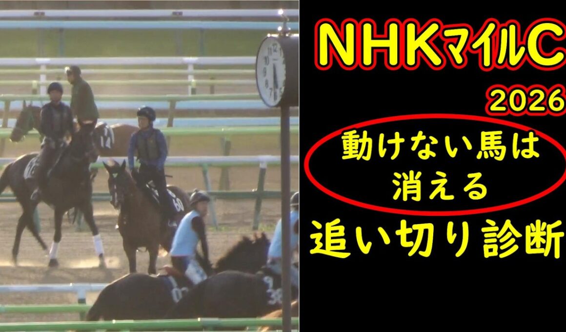 【NHKマイルC2026 追い切り診断】動けない人気馬は消える｜最終追い切りで見抜く本当に買うべき馬