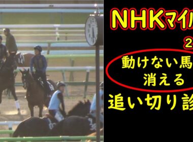 【NHKマイルC2026 追い切り診断】動けない人気馬は消える｜最終追い切りで見抜く本当に買うべき馬