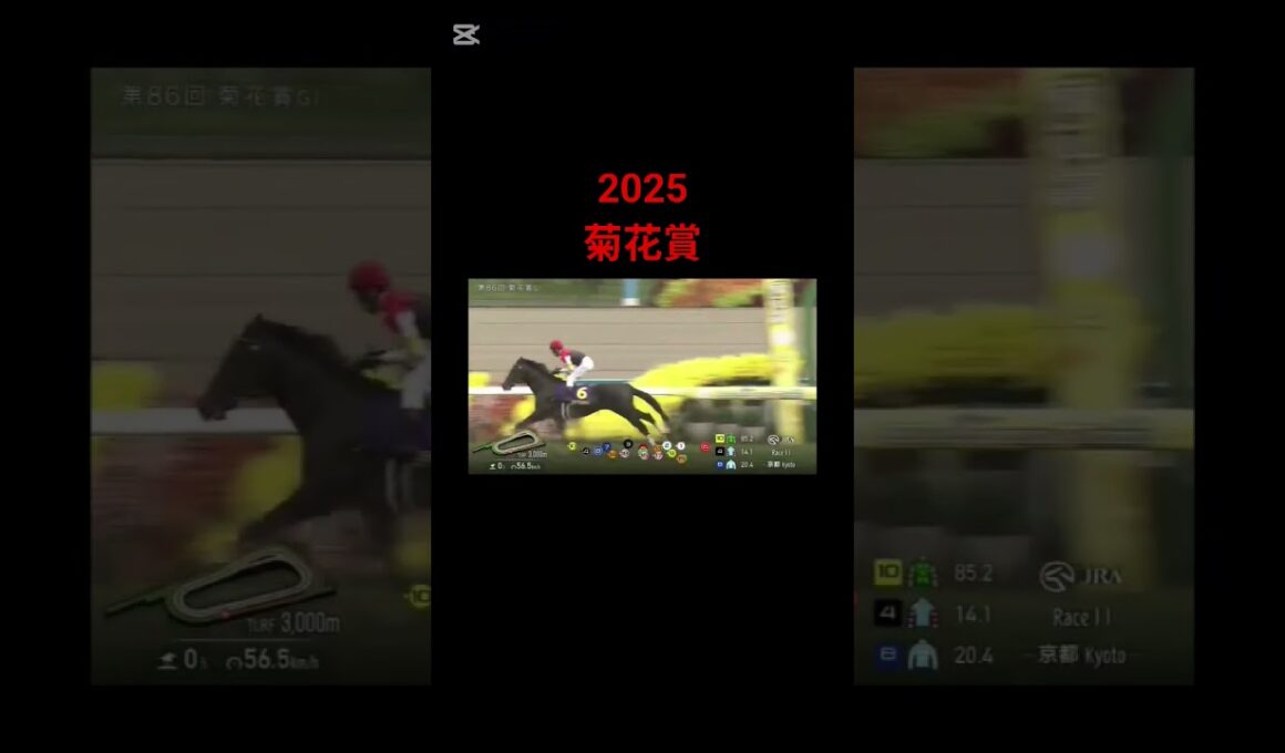 2025 菊花賞　#競馬#菊花賞#エネルジコ#ルメール#shorts#エリキング
