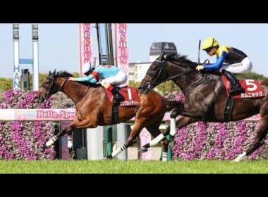 ヴィクトリアマイル大波乱の予感…最強牝馬は誰だ！？🔥🐎#HorseRacing#VictoriaMile