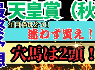 【競馬】天皇賞（秋）最終予想！注目枠は2つ！穴馬も2頭！