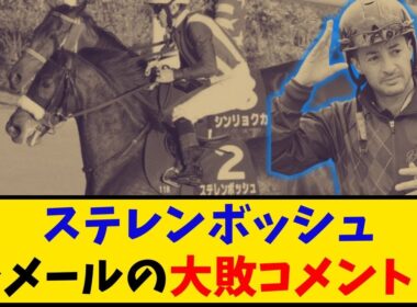 【エリザベス女王杯】「ステレンボッシュ 大敗後のルメール騎手コメント… 」に対するみんなの反応【反応集】