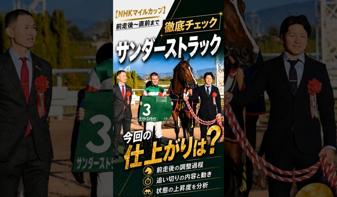 【NHKマイルカップ】サンダーストラック 今回の仕上がりは？前走後〜直前まで徹底チェック #サンダーストラック #NHKマイルC #shorts