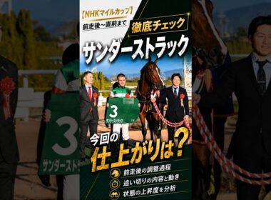 【NHKマイルカップ】サンダーストラック 今回の仕上がりは？前走後〜直前まで徹底チェック #サンダーストラック #NHKマイルC #shorts