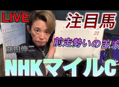 NHK マイルC注目馬！