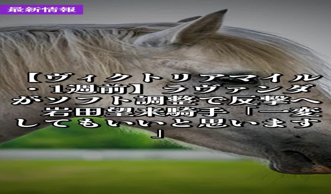 5月7日競馬情報｜【ヴィクトリアマイル・1週前】ラヴァンダがソフト調整で反撃へ　岩田望来騎手「一変してもいいと思います」 #Shorts