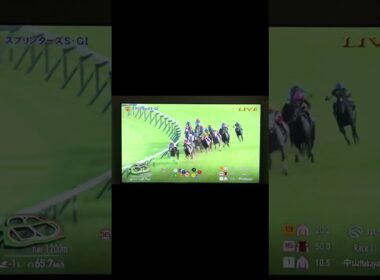 スプリンターズステークス2025反応本命サトノレーヴにした結果...#スプリンターズs #スプリンターズステークス #競馬　#三浦皇成　#競馬反応