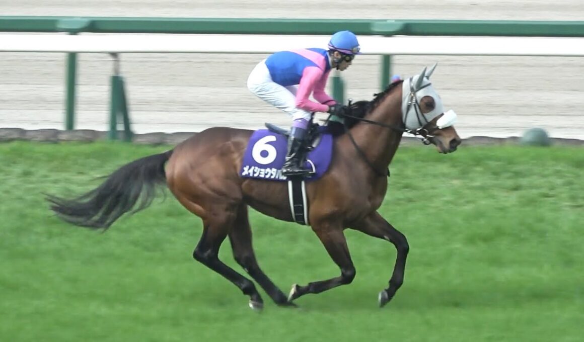 【現地 本馬場入場】2026 G1 大阪杯 【阪神競馬場】